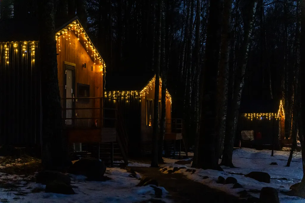 Домик с видом на лес