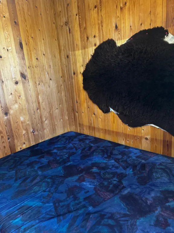 Коттедж Дом для отдыха и релакса — Санкт-Петербург