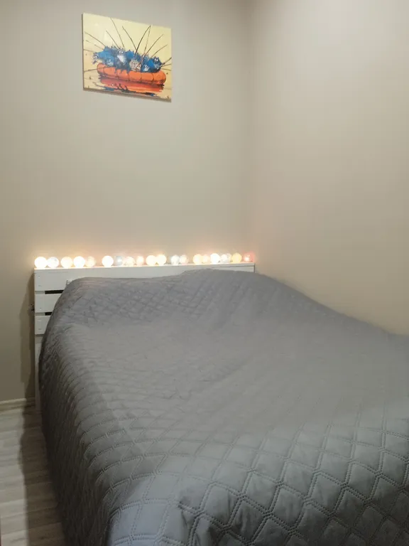 Уютная квартира на Московском