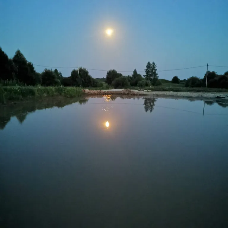 Дом с баней и пирсом на берегу пруда