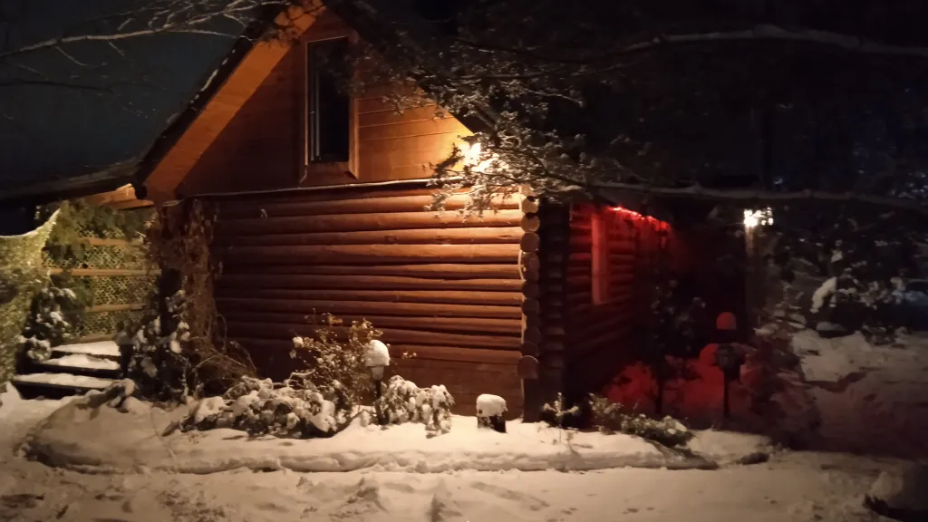 Охотничий дом с медведем на Ладоге