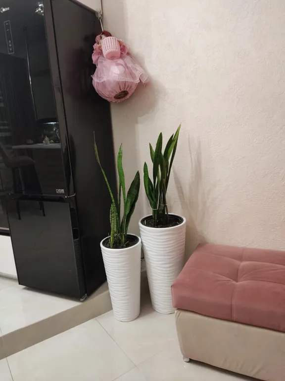 Коттедж с мангальной зоной