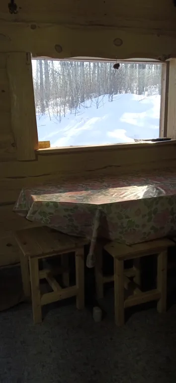 Домик у леса