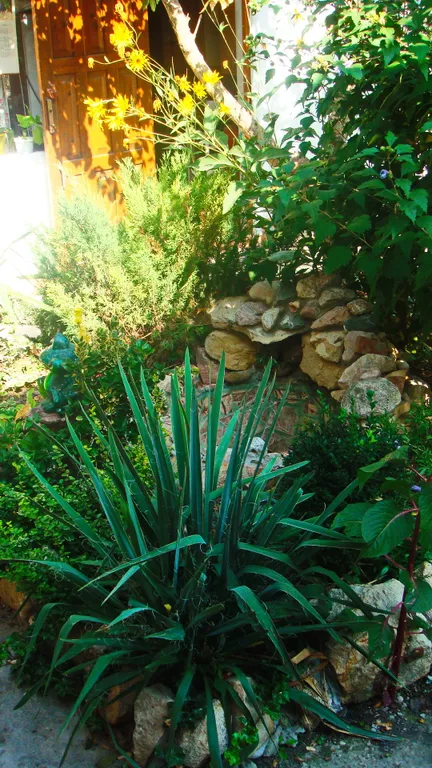 Коттедж 3-х комнатный дом в центре — Феодосия