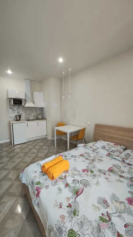 Комфортная студия