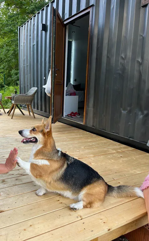 Коттедж 1-комнатный Дом — Геленджик