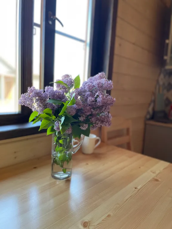 Коттедж Дом 4 на берегу реки Водла — Шальский