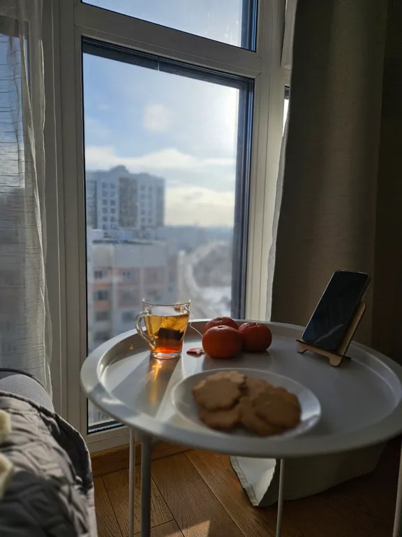 Стильная студия с панорамным окном на Борисовке White Lodging