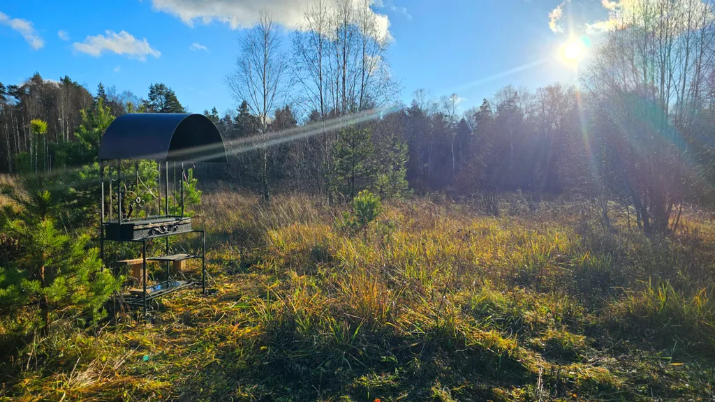 Дом на лугу