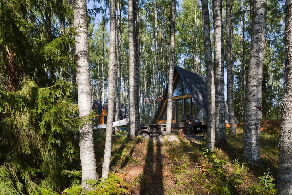 Руна Леса Карелия