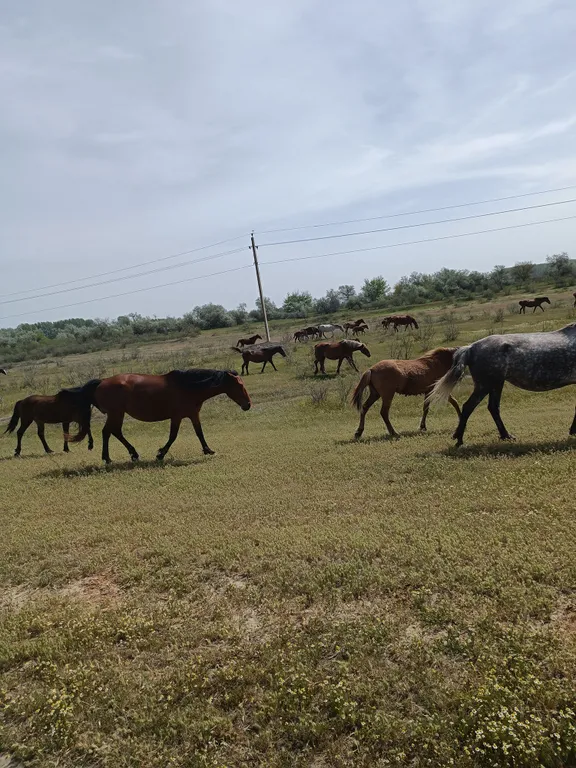 Уютный домик рыбака