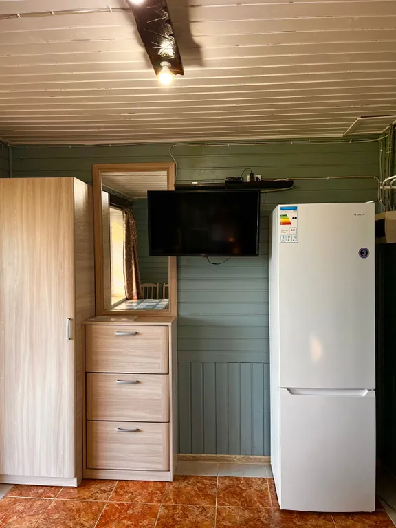 Коттедж 3-комнатный Дом — Луга