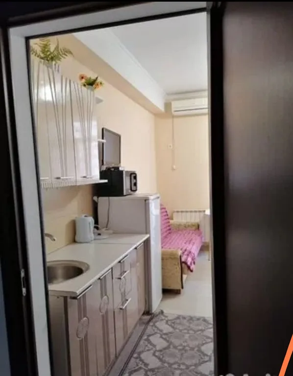 Квартира 1-комнатная Квартира — Сириус