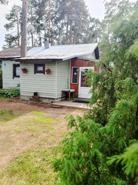 Коттедж Дом в сосновом бору на озере Селигер — аренда посуточно в Осташков (Селигер)