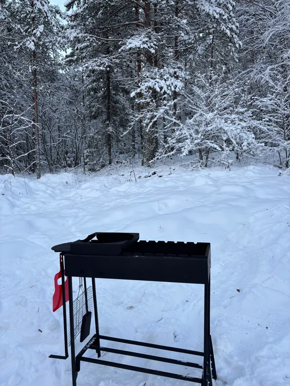 А-фрейм в лесу с банным чаном