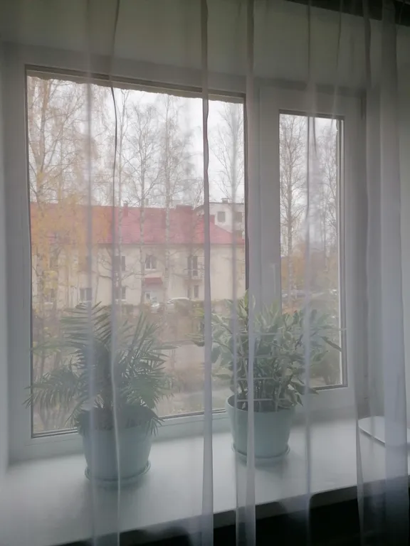 Цветик-семицветик