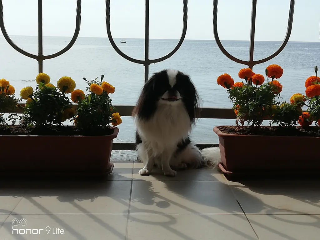 Номер с видом на горы