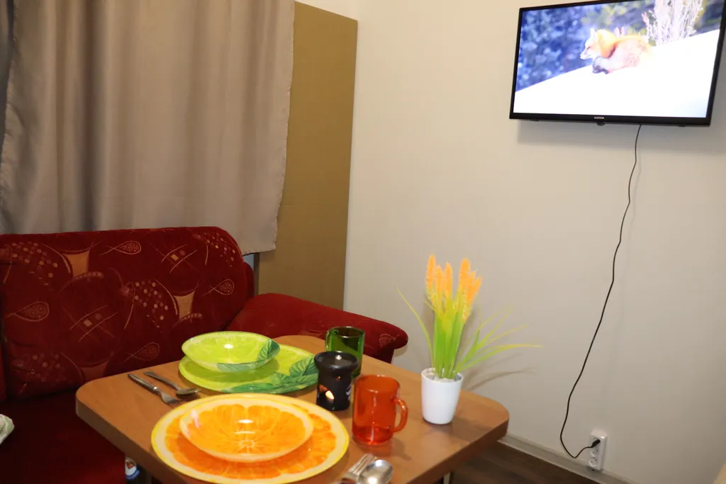 Компактная студия с двуспальным диваном у станции МЦД4 Железнодорожная