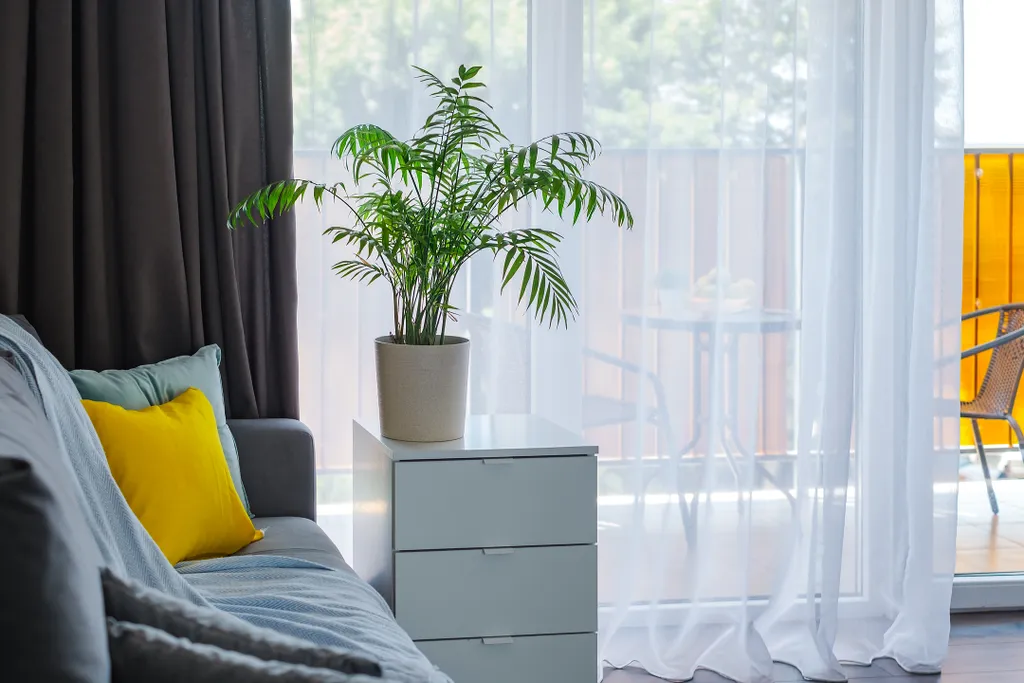 Просторная квартира на берегу моря