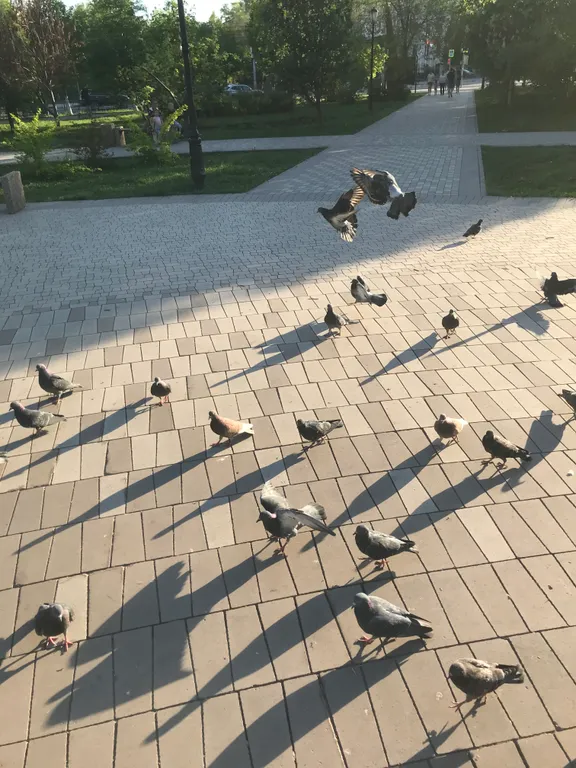 Уютная квартира в шаговой доступности от набережной и площади Куйбышева