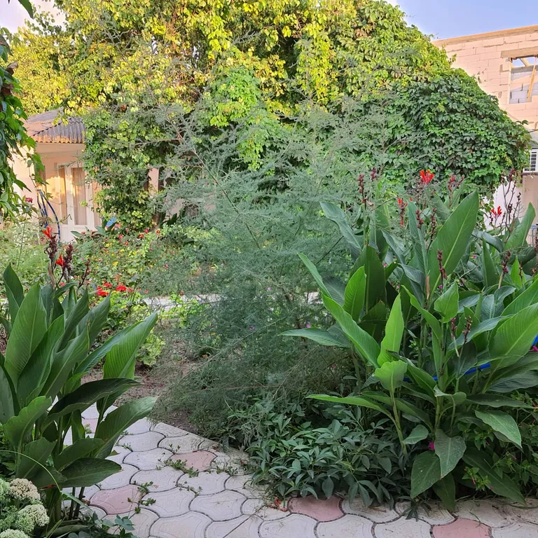 Отдельный домик в частном дворе