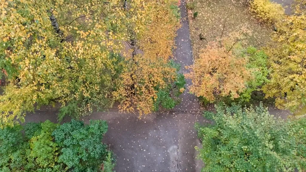 Чистая и светлая квартира в развитом районе