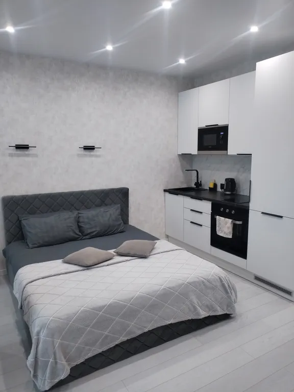 Квартира Комфортная студия в Минск-Мир — Минск