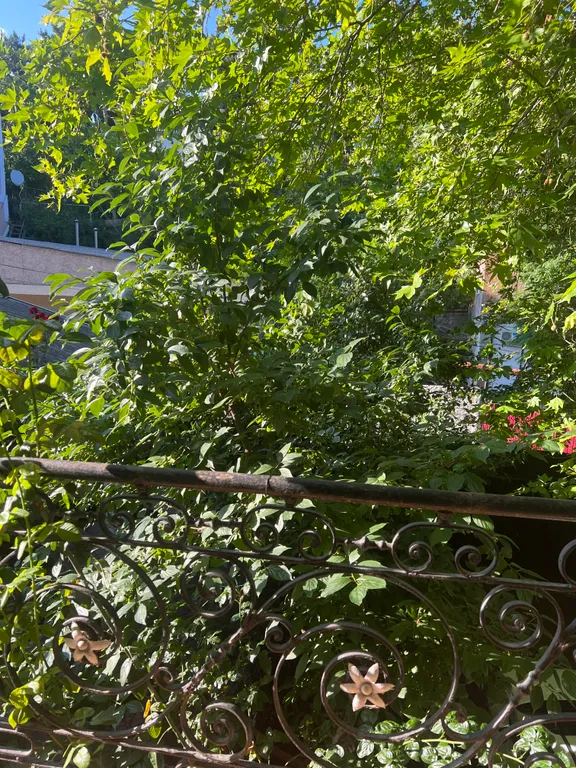 Номер с балконом во двор