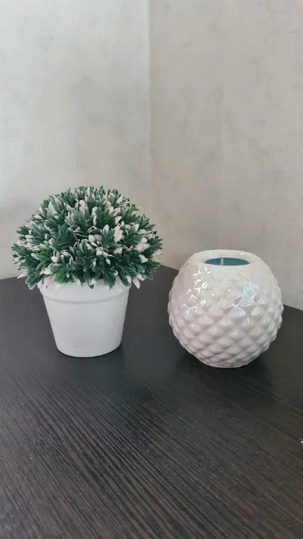 Студия ромашка