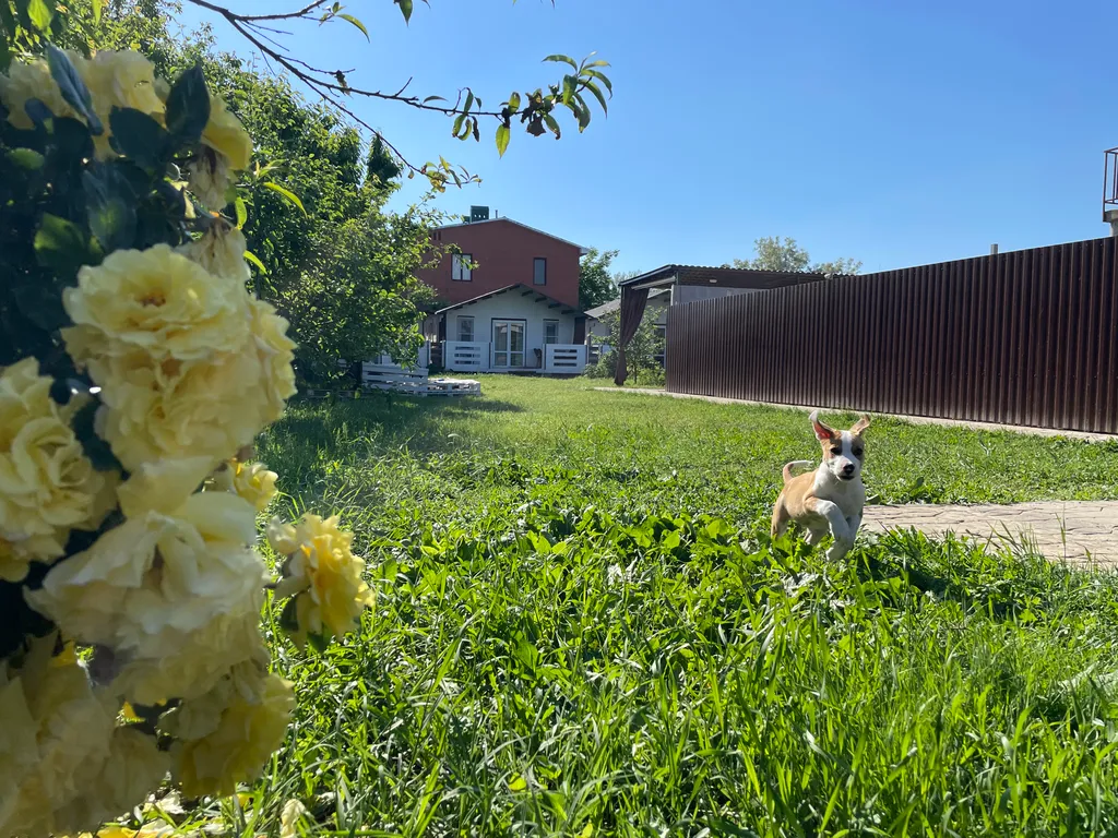 1-комнатный Дом