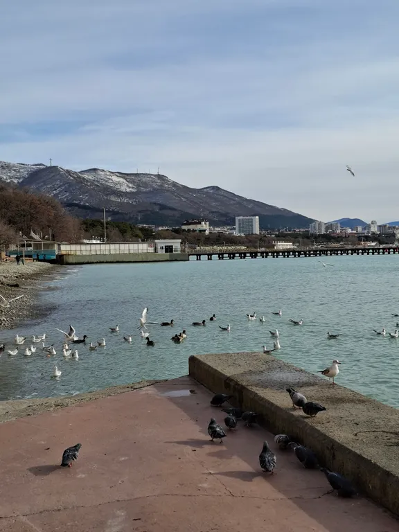 Квартира Квартира Уютная студия в ЖК Горизонт — Геленджик