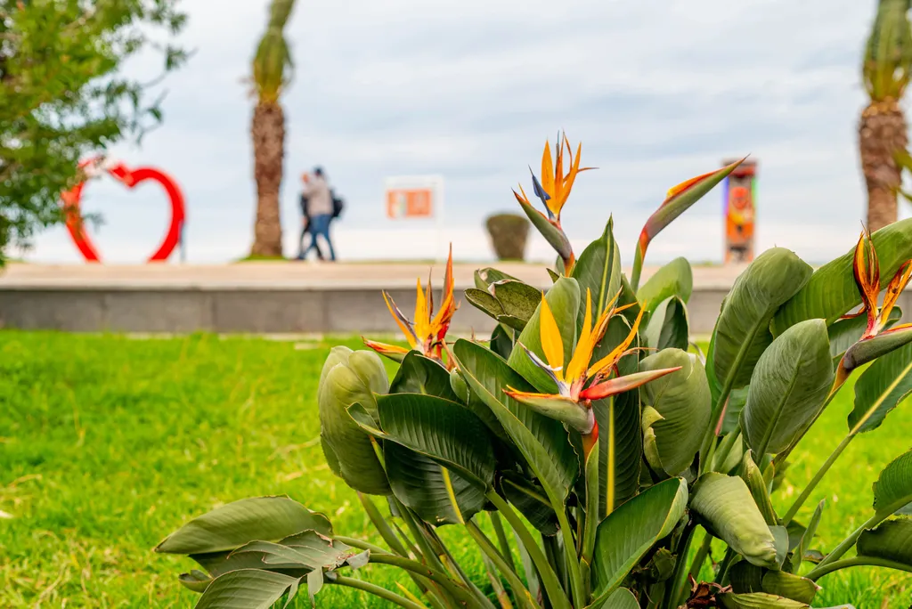 Прибрежный Оазис с видом на море в престижной Порта Батуми