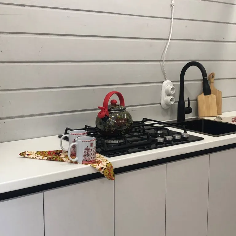 Коттедж 2-комнатный Дом — Мичуринское