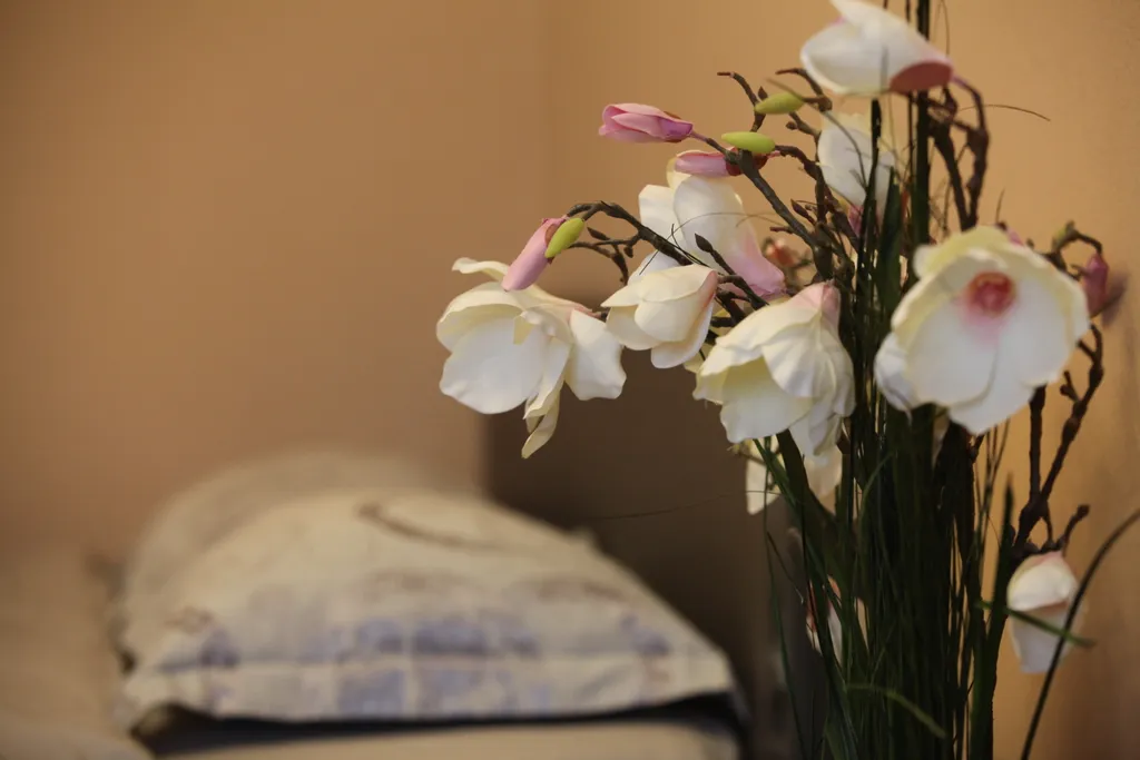 Двухкомнатные апартаменты в центре города