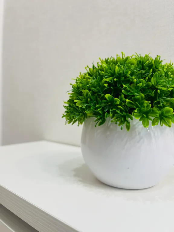 Апартаменты с панорамным видом