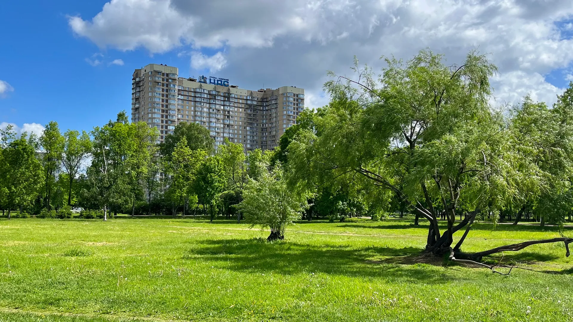 1-комнатная квартира посуточно, Санкт-Петербург, Луначарского проспект, 78,  к 5А, объявление 1140281 — Суточно.ру