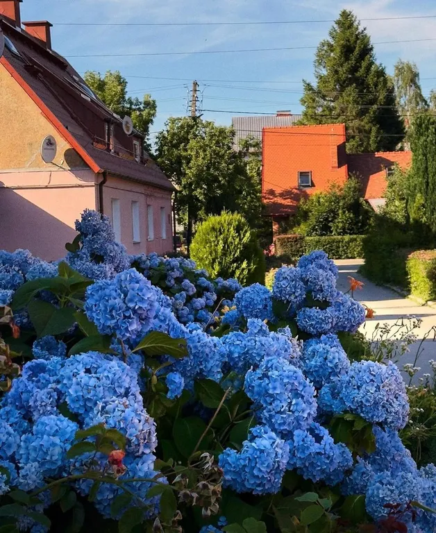 Квартира Уютная однокомнатная квартира у моря — Пионерский