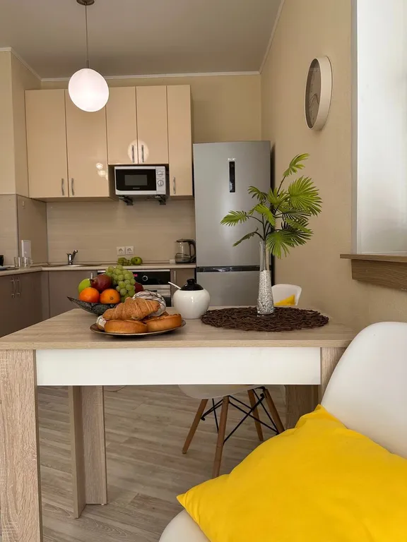 Студия в центре города Слободка Мята