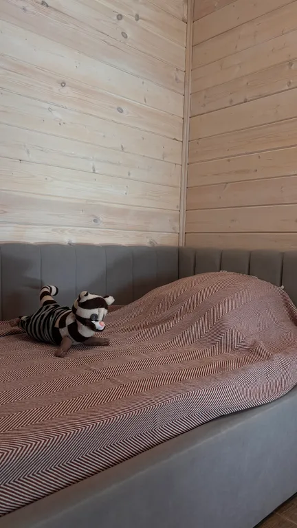 Гостевой дом «Кошка»