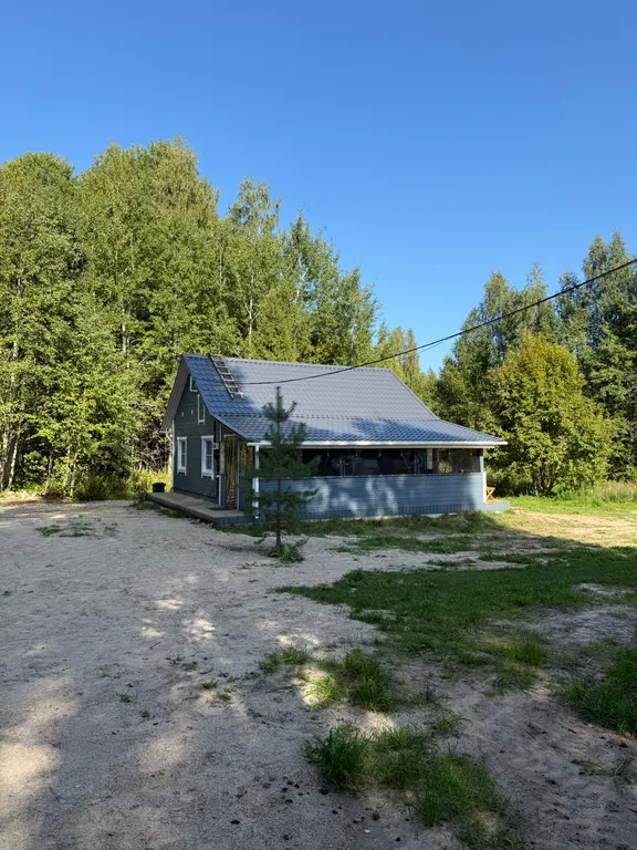 Гостевой домик в лесу