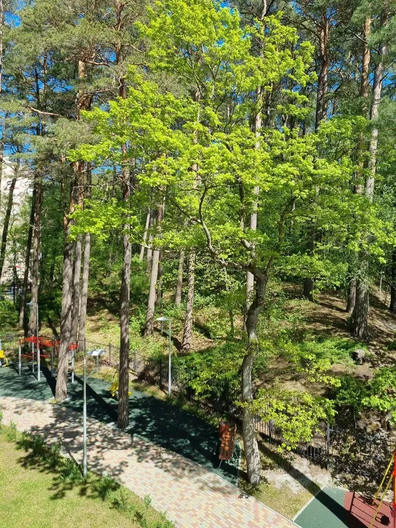 Уютный уголок около лесного озера