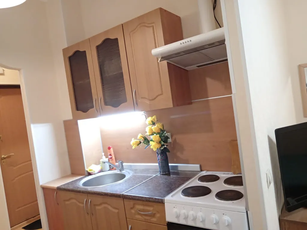 Уютная студия в центре Западного в Левенцовке