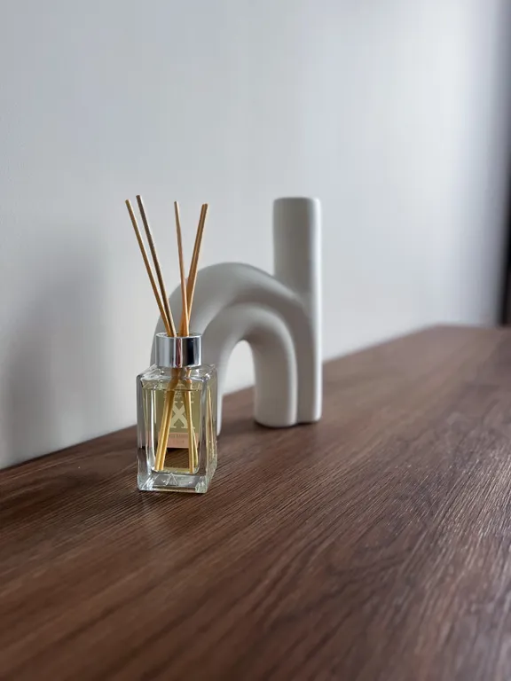 Современная квартира на берегу Сожа