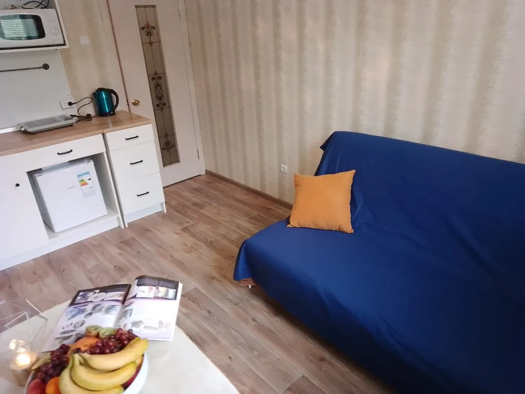 Уютная однокомнатная квартира