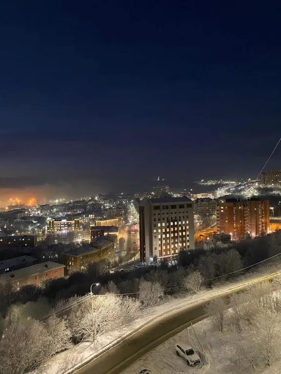 Квартира с красивым видом на город