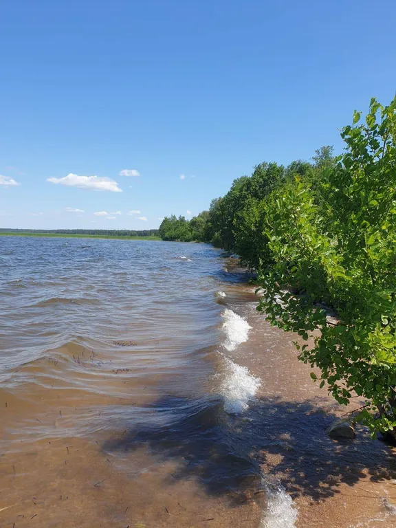 Дом на Селигере