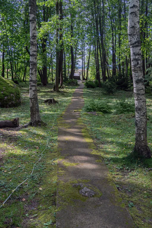 Коттедж с горячей купелью рядом с Выборгом