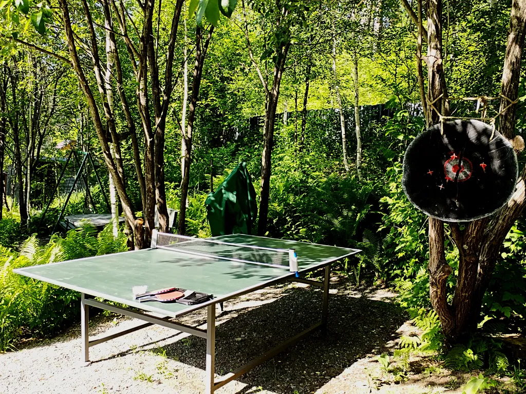 Дом в сосновом лесу