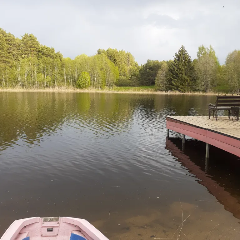 Дом на берегу озера Селигер