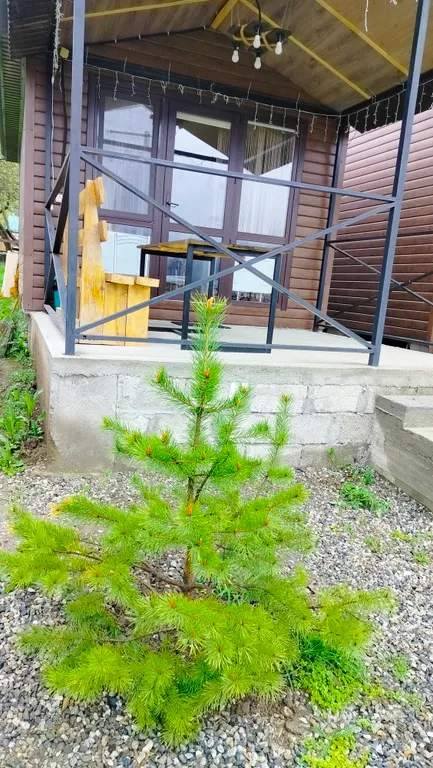 Уютный дом с видом на горы